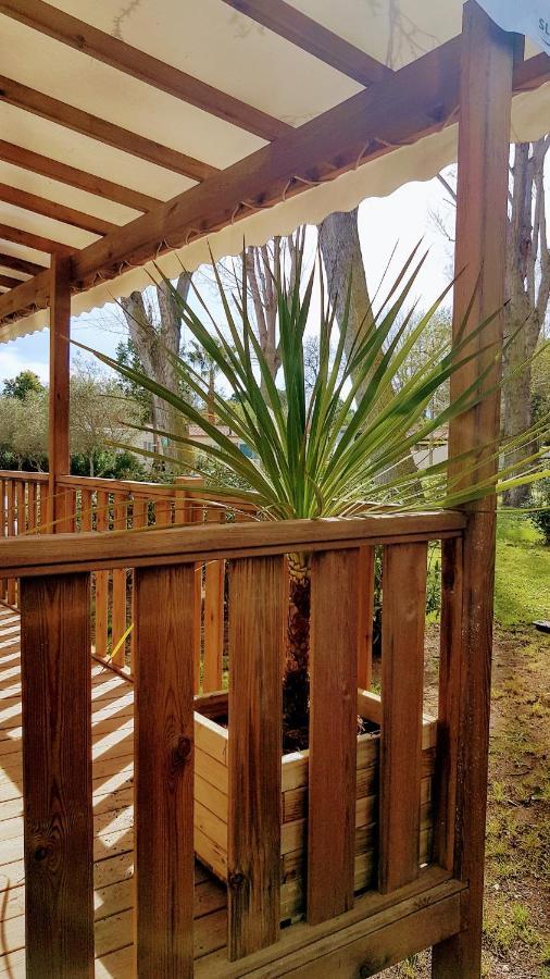 Mobile De Luxe St Cyprien Camping *